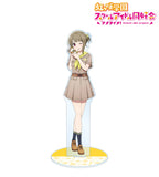 Anime Love Live! Nijigasaki High School Idol Club 15C Acrylic Stand figure Stand Plate Cosplay Prop Decor Cartoons present Gifts