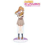 Anime Love Live! Nijigasaki High School Idol Club 15C Acrylic Stand figure Stand Plate Cosplay Prop Decor Cartoons present Gifts