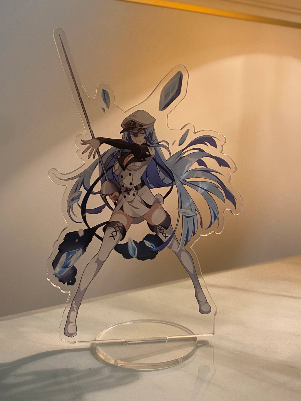 Anime Akame ga KILL 15cm Acrylic Stand Model Cosplay Characters Ornament Accessories Goods Collection Gifts